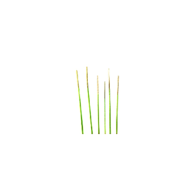 海波管超声刀专用涂层Guide wire