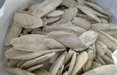 进口墨鱼骨