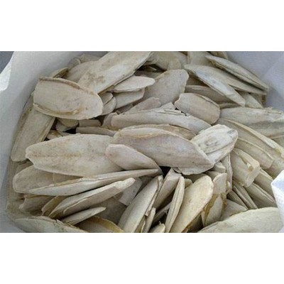 进口墨鱼骨