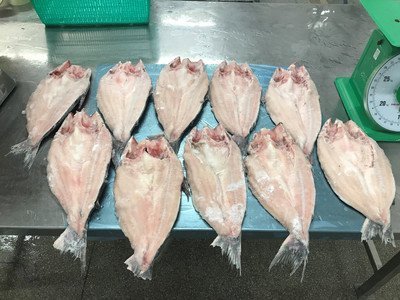 进口越南巴沙鱼