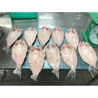 进口越南巴沙鱼