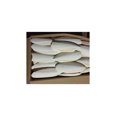 海螵蛸代理报关清关操作
