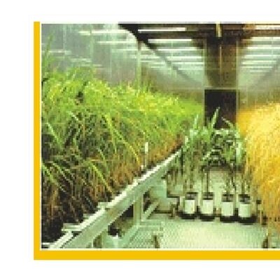 人工气候种子发芽室
