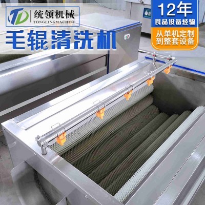 芋头连续式毛辊去杂清洗设备 鲜花生全自动毛辊清洗机