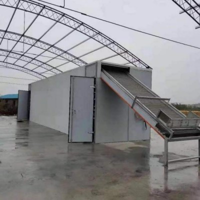 全自动一键式只能椰壳干燥机带式食品烘干机