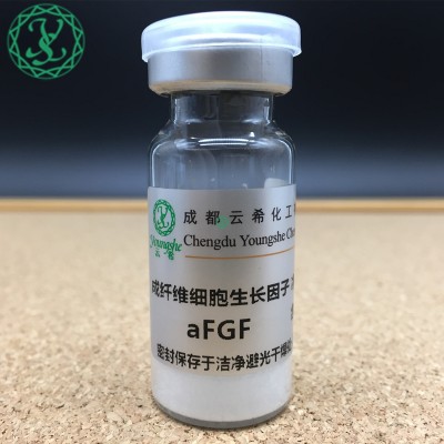 重组人酸性成纤维细胞生长因子（rh-aFGF）