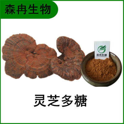 森冉生物 灵芝提取物 灵芝多糖 赤芝提取物 多种规格原料粉