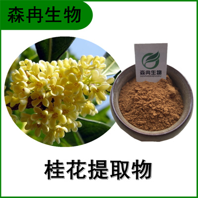 森冉生物 桂花提取物 木犀花提取物 比例提取原料粉
